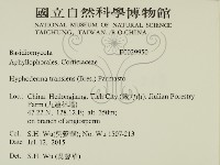 登錄號:F0029950藏品圖，第2張