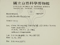 登錄號:F0029953藏品圖，第2張