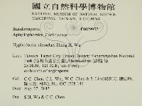 登錄號:F0029957藏品圖，第2張