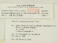 登錄號:F0029958藏品圖，第2張