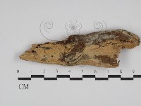 登錄號:F0029958藏品圖，第1張