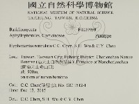 登錄號:F0029959藏品圖，第2張