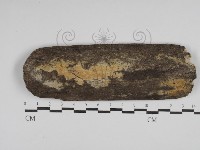 登錄號:F0029959藏品圖，第1張