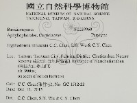 登錄號:F0029960藏品圖，第2張