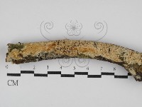 登錄號:F0029961藏品圖，第1張