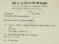 登錄號:F0029964藏品圖，第2張