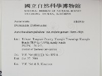 登錄號:F0029965藏品圖，第2張
