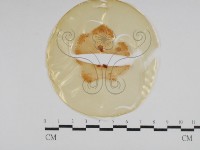 登錄號:F0029966藏品圖，第1張