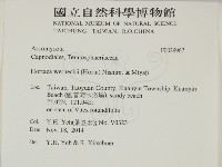 登錄號:F0029967藏品圖，第2張