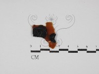 登錄號:F0029967藏品圖，第1張