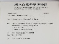 登錄號:F0029968藏品圖，第2張