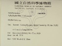 絲齒菌屬藏品圖，第2張