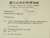 絲齒菌屬藏品圖，第2張