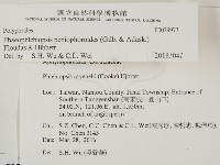 登錄號:F0029973藏品圖，第2張