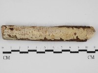 登錄號:F0029973藏品圖，第1張