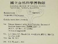 登錄號:F0029978藏品圖，第2張