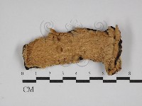 登錄號:F0029978藏品圖，第1張