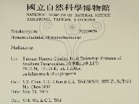 木層孔菌屬藏品圖，第2張