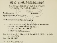 粗糙孢菌屬藏品圖，第2張