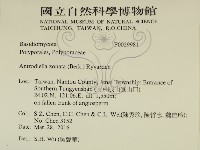 登錄號:F0029981藏品圖，第2張