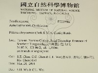 登錄號:F0029982藏品圖，第2張