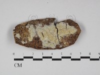 登錄號:F0029983藏品圖，第1張