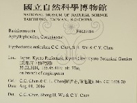 登錄號:F0029984藏品圖，第2張
