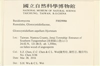 登錄號:F0029986藏品圖，第2張