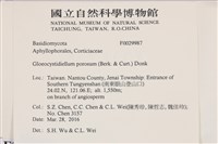 登錄號:F0029987藏品圖，第2張