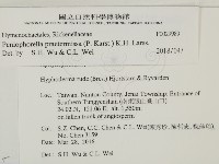 登錄號:F0029989藏品圖，第2張