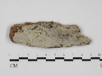 登錄號:F0029989藏品圖，第1張