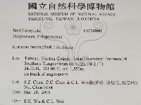 登錄號:F0029990藏品圖，第2張