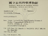 登錄號:F0029993藏品圖，第2張