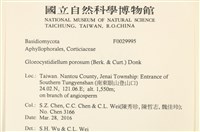 登錄號:F0029995藏品圖，第2張