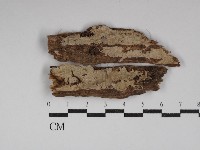 登錄號:F0029996藏品圖，第1張