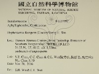登錄號:F0029997藏品圖，第2張