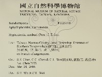 冇骨消絲齒菌藏品圖，第2張