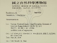 登錄號:F0029999藏品圖，第2張