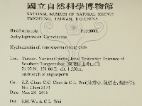 登錄號:F0030001藏品圖，第2張