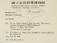 韌革菌屬藏品圖，第2張