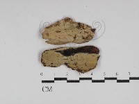 登錄號:F0030003藏品圖，第1張