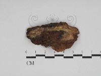 登錄號:F0030004藏品圖，第3張