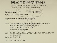 登錄號:F0030005藏品圖，第2張