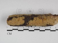 登錄號:F0030008藏品圖，第1張