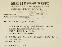 粗糙孢菌屬藏品圖，第2張