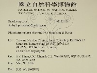 登錄號:F0030010藏品圖，第2張