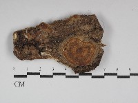 登錄號:F0030010藏品圖，第1張