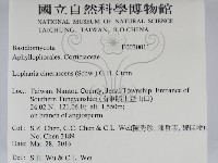 登錄號:F0030011藏品圖，第2張