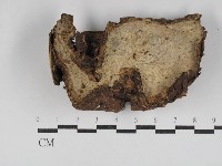登錄號:F0030011藏品圖，第1張