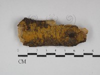登錄號:F0030013藏品圖，第1張